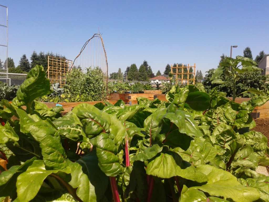 20140711_154325