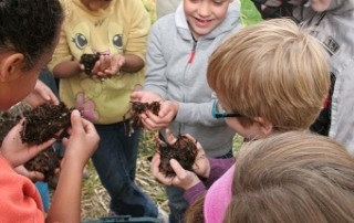 Winnipeg Day Campers Investigate Plants