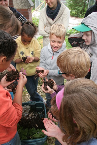 Winnipeg Day Campers Investigate Plants