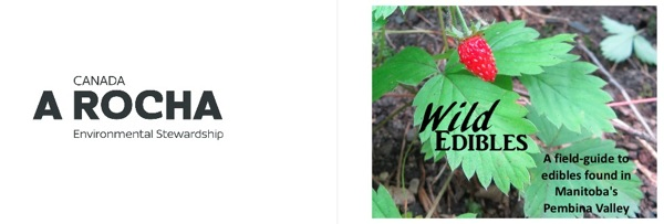 Wild-Edibles-Pocket-Guide-IMAGE