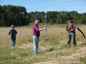 Rye-Harvest-Scythe-300x225