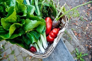 Veggie-basket-300x199
