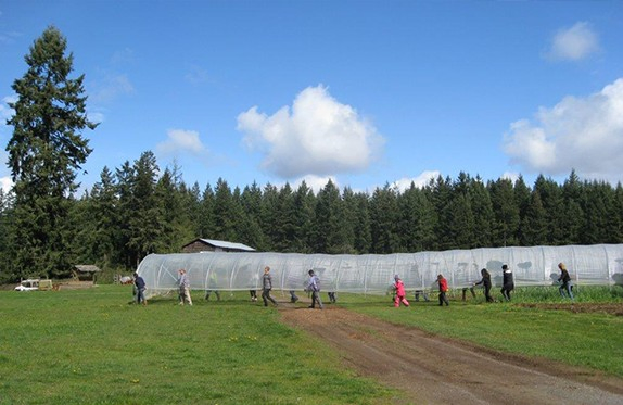 Poly-Tunnel-03