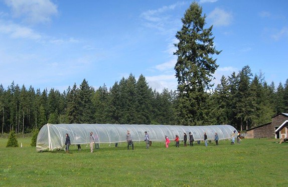 Poly-Tunnel-04