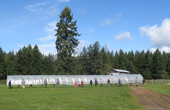 Poly-Tunnel-05