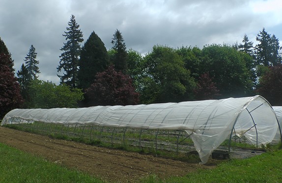 Poly-Tunnel-11
