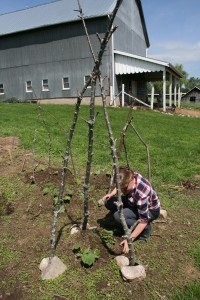 IMG_0290-200x300