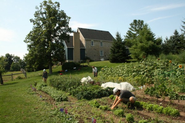 Summer Volunteer Spotlight: Cedar Haven Farm - A Rocha