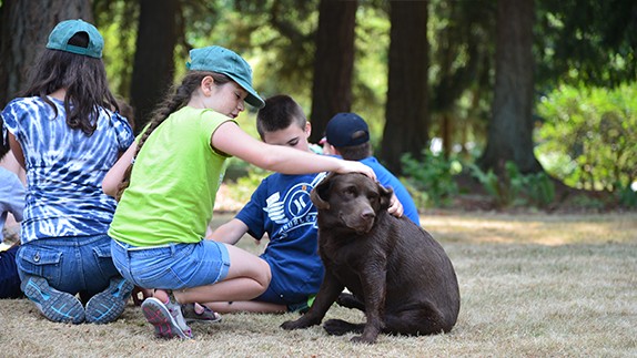 Post_max-width_in-post-Daycamp-Lucy