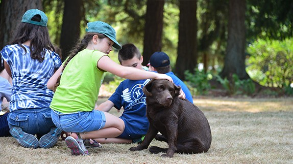 Post_max-width_in-post-Daycamp-Lucy