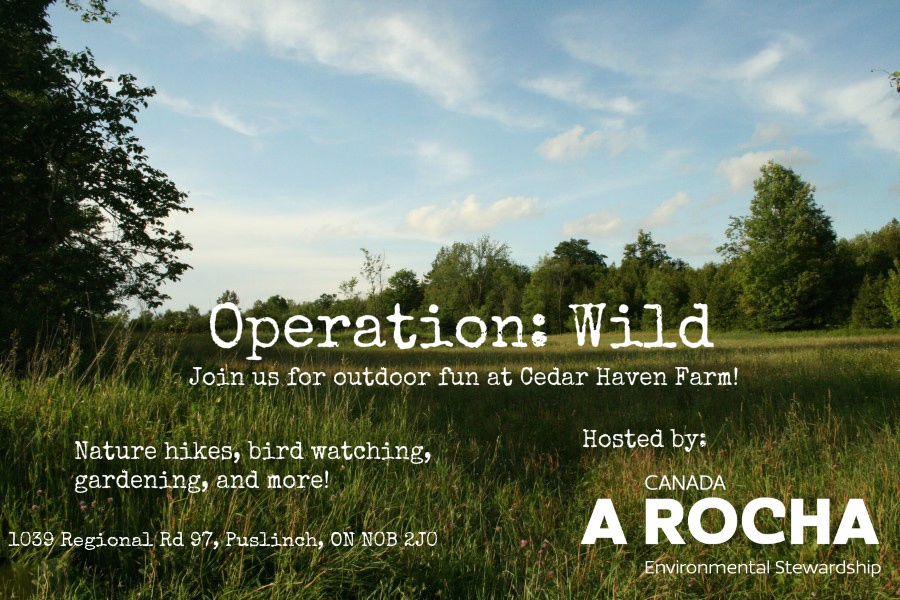 poster_from_postermywall