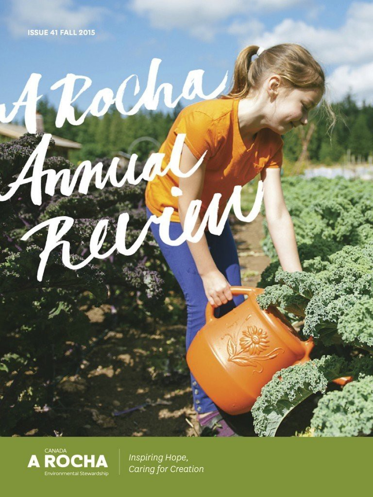 Arocha-Annual-Report_Final-768x1024