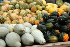 Harvest-Celebration-Squash-by-intern-Timothy-Friesen05-L-300x200