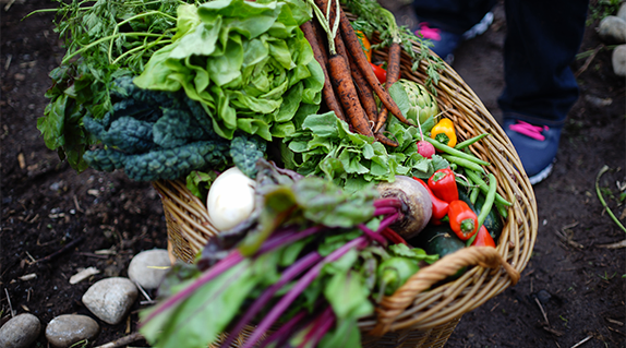 Post_max-width_in-post-veggies