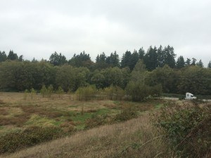 old-llama-farm-2-300x225