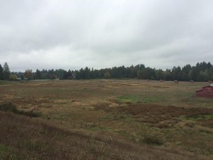 old-llama-farm-300x225