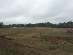 old-llama-farm-300x225