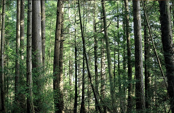 Post_max-width_in-post-climate