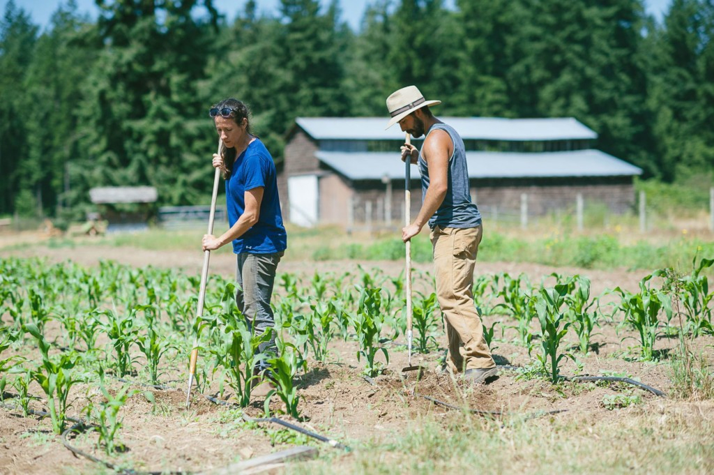 Farm-Team-by-Brooke-McAllister29