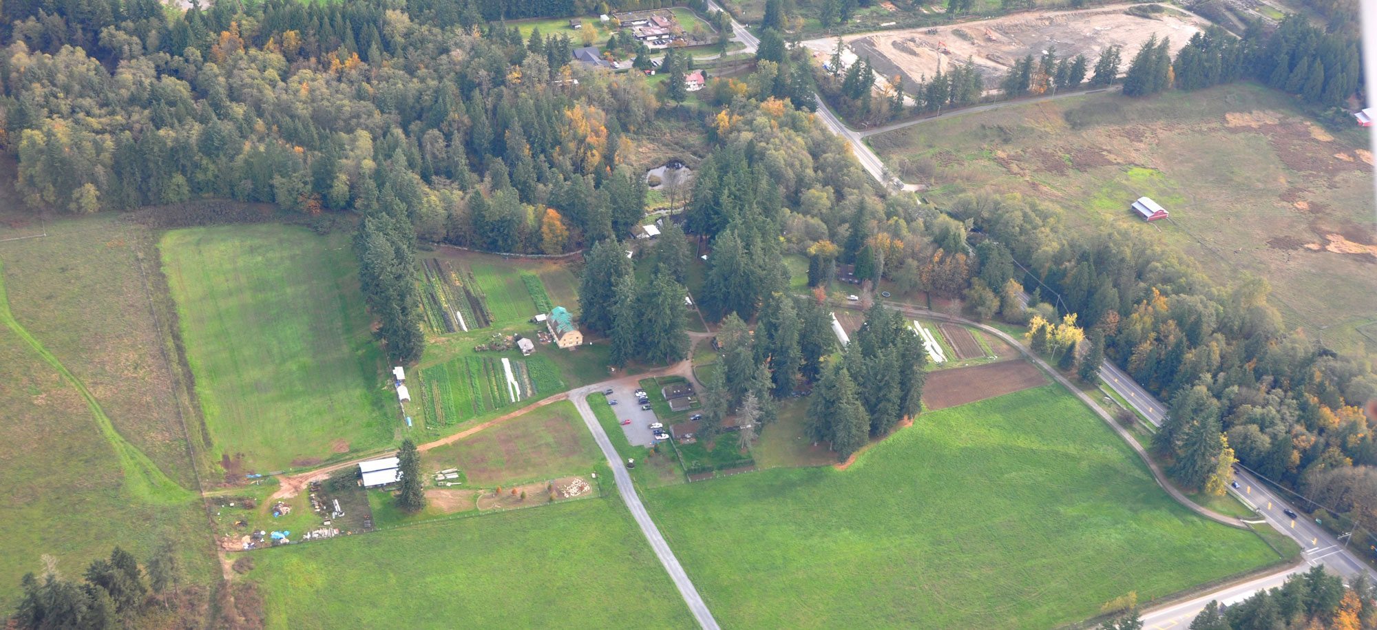 The lush forests and pastures of Brooksdale and the surrounding properties.