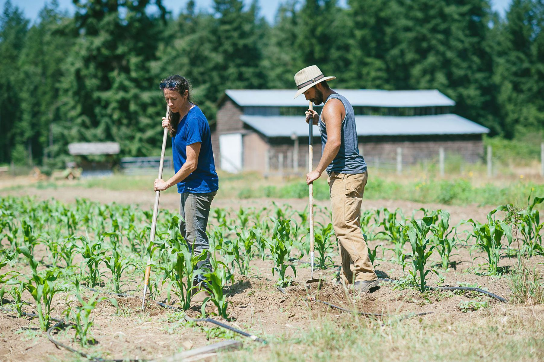 A Rocha staff and interns tend the garden.