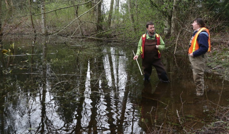 5T7A4579-1-copy-768x450