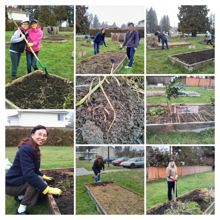 Preparing Garden Beds And Planning For Summer Drought A Rocha