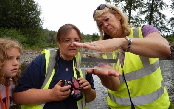 Measuring a small Salmon