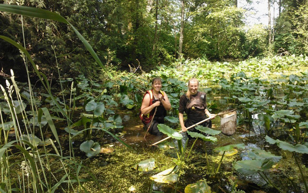 Ashley and Sarah Look for Toads in Pond