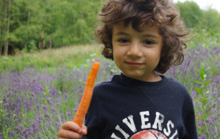 Little Boy Eats Big Carrot
