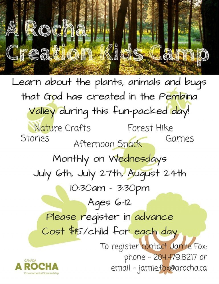 Creation-Kids-Camp1-768x994