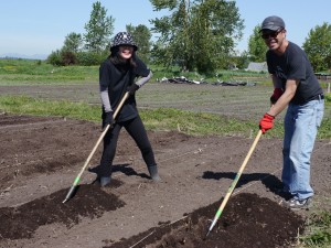 Volunteers Hoeing