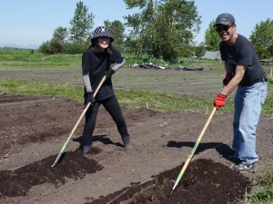 Volunteers Hoeing