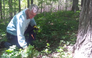 Habitat Restoration in King Township, Ontario