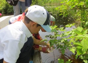 Kids Pond Dipping