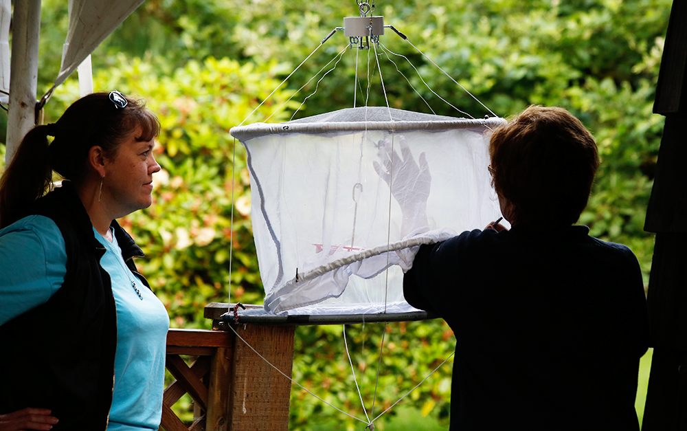 Intern Sarah Woodfield and Volunteer Inspect Bird Feeder