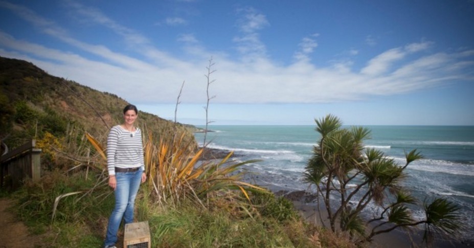 Woman Stands at New Zealand Coast
