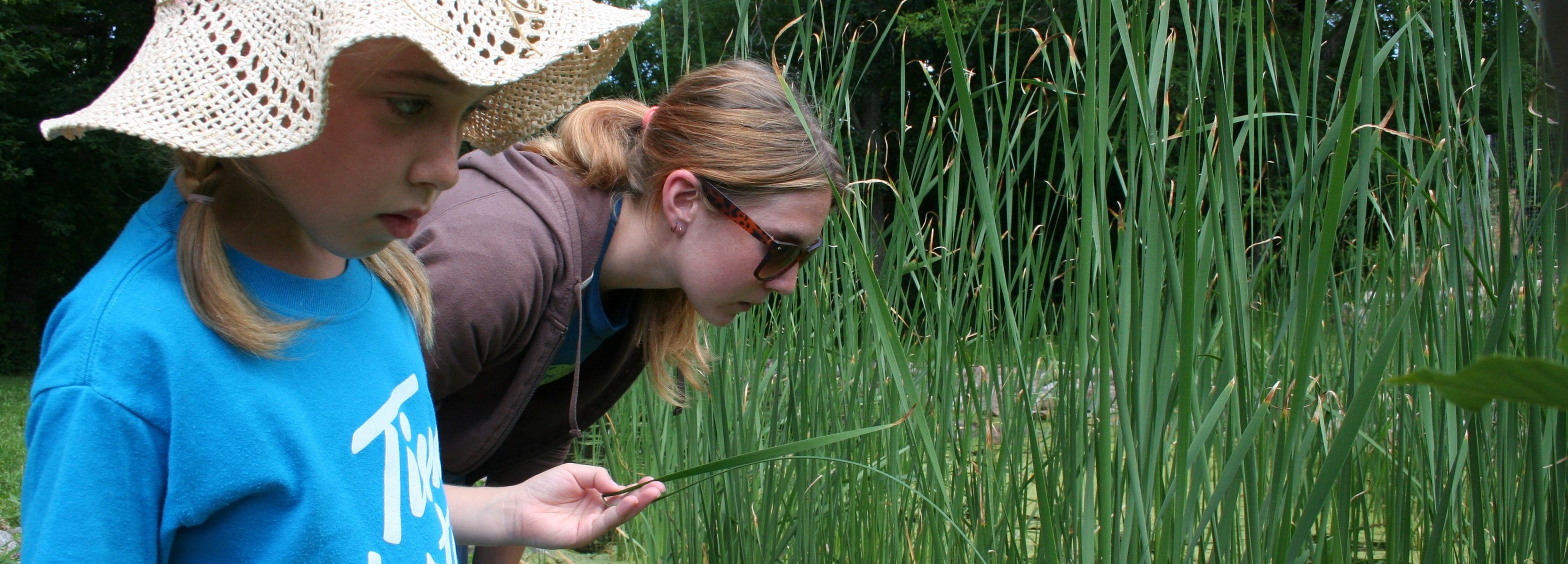 Kids and Volunteers Examine Pond Grass
