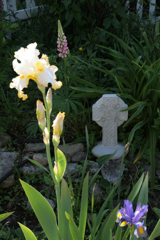 sacred-spaces-garden