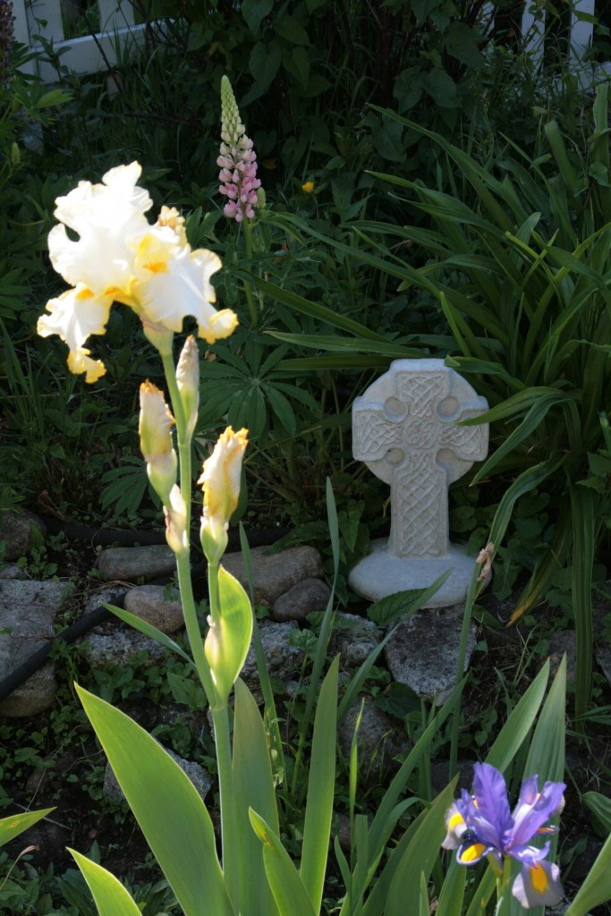 sacred-spaces-garden