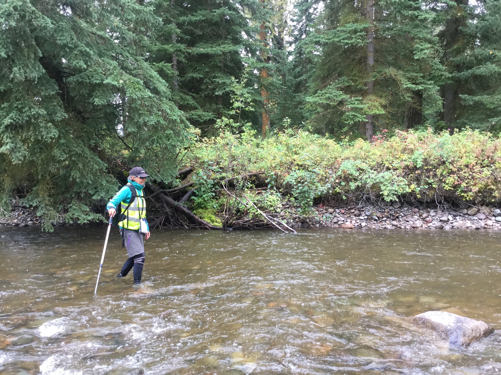 Volunteer Measures Water in Upper Bulkley River