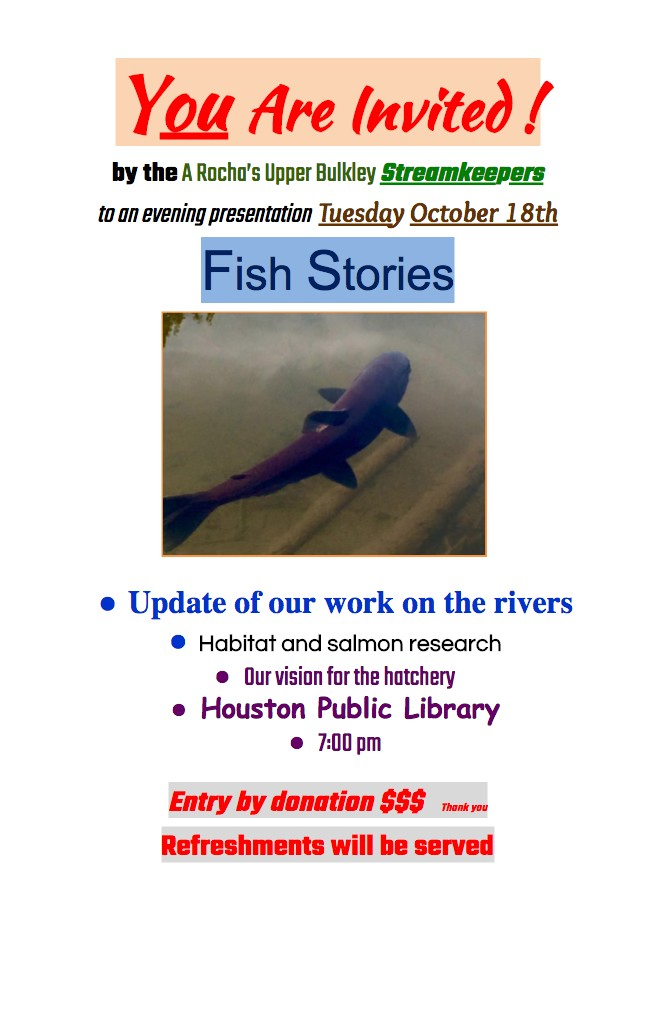 fish-stories-poster