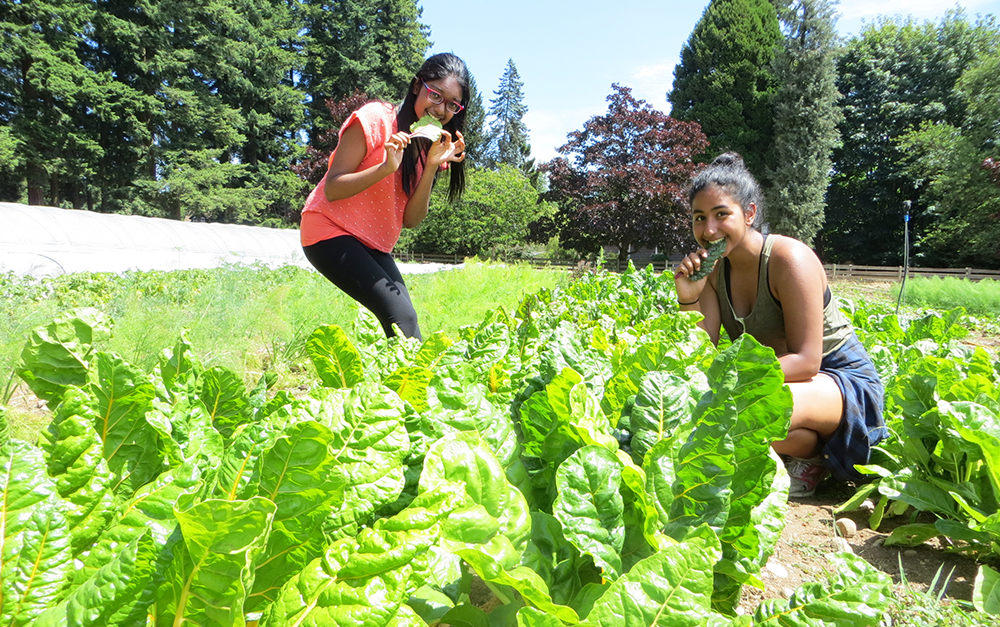 Surrey Students in Brooksdale Garden