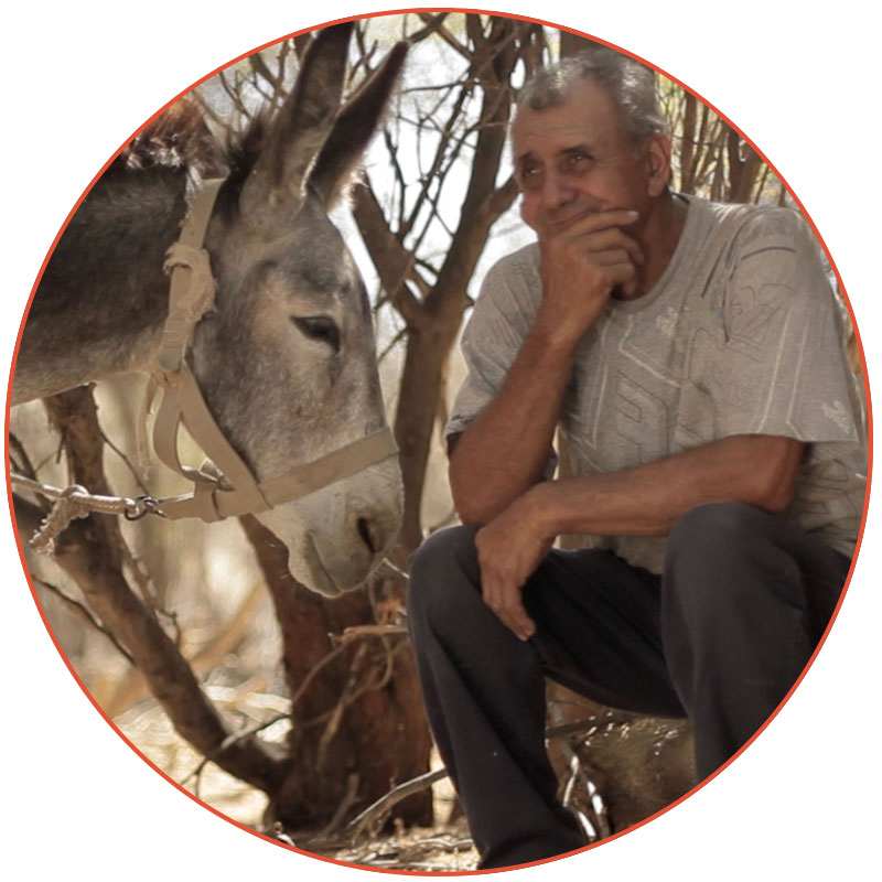Harvesting Hope (a film from A Rocha Peru)