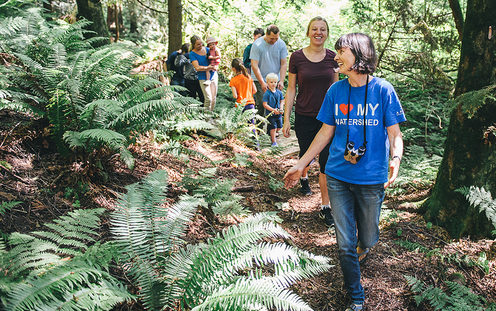 Multigenerational Exploration of Forest
