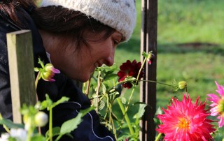 Picking Flowers
