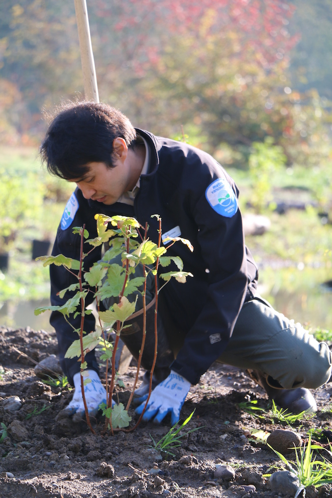 z-habitat-restoration-by-rrmiller-photography03-copy Volunteer Restoring Habitat