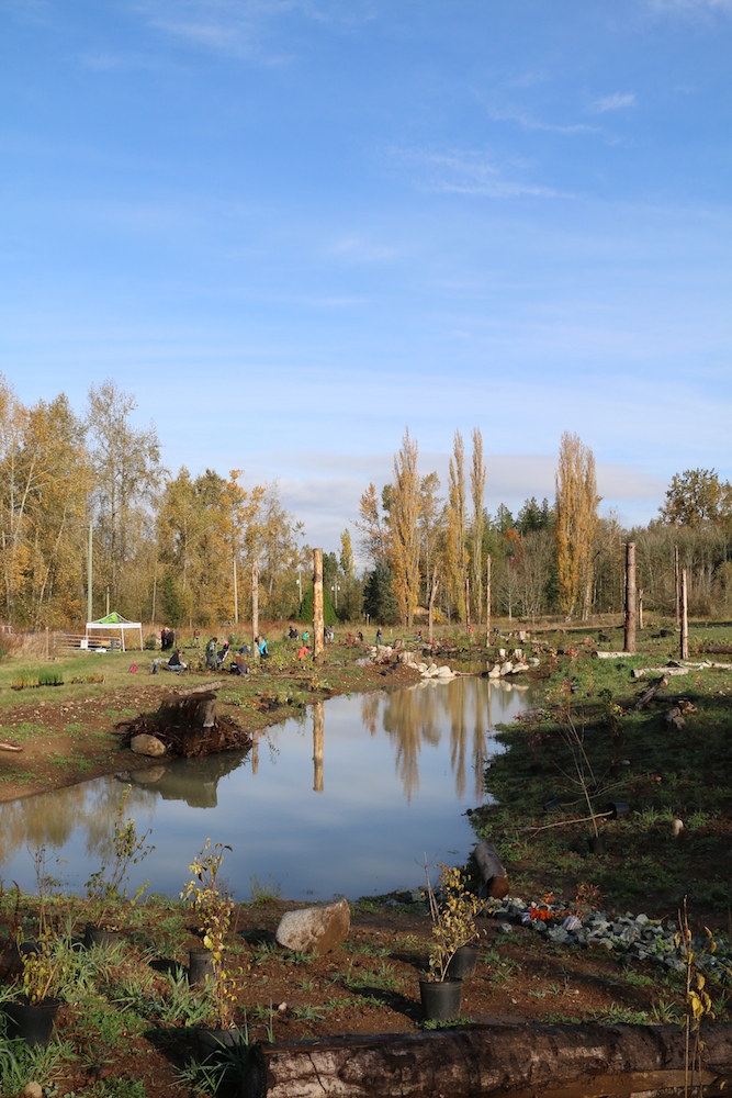 Habitat Restoration