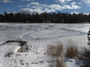 lake-skating-paths