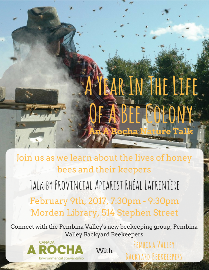 A Year In The Life Of A Bee Colony